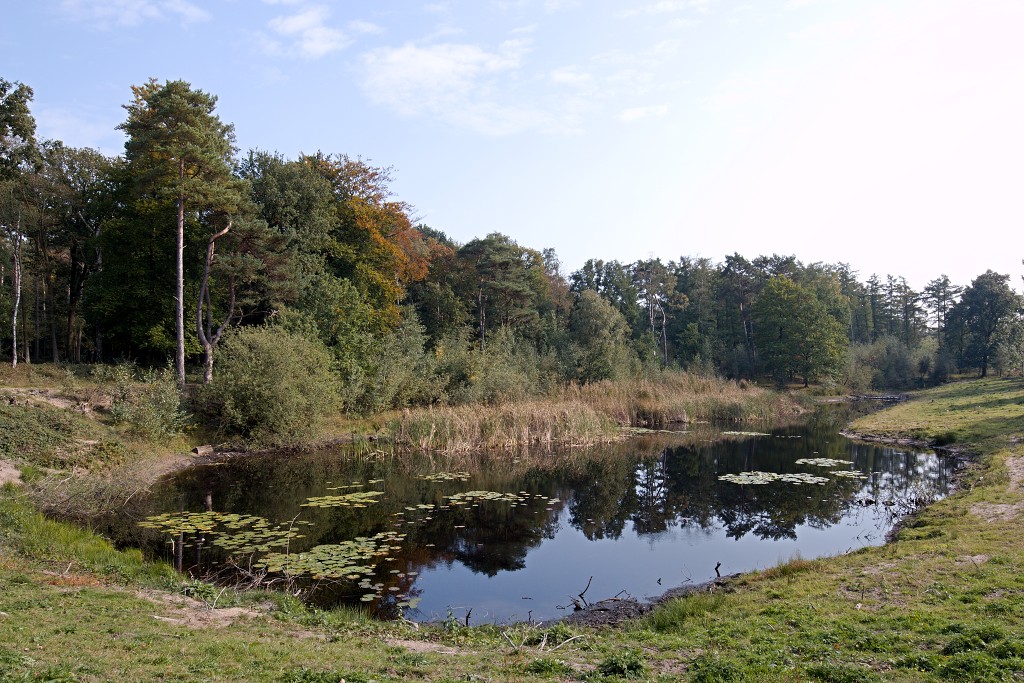 baronie van breda leemputten boswachterij dorst mastbos chaamse bossen Liesbos Vuchtpolder hdr bos Strijbeekse Heide staatsbosbeheer